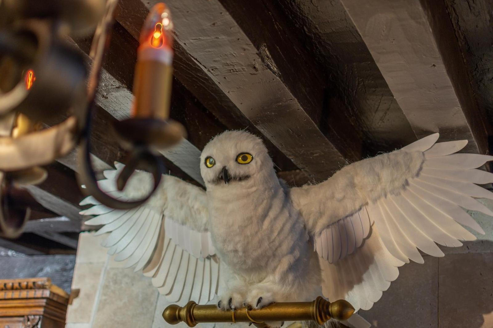 Sorcier Magique & Experience Immersive Caen Zewnętrze zdjęcie